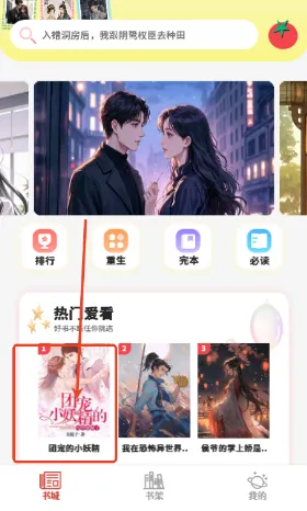 爽文小说阅读器2025下载 爽文小说阅读器2025下载