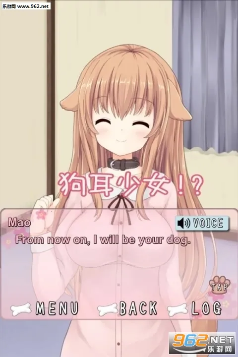 Ů2025°汾v1.0.1 ׿