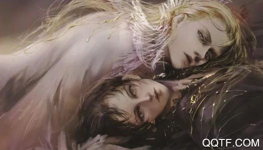 小说绘最新手机版 小说绘最新手机版