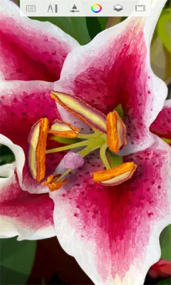 绘画最新手机版 绘画最新手机版