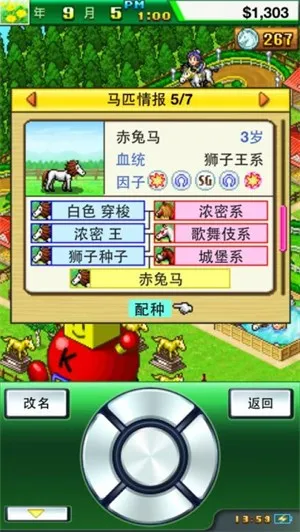 顶级跑马牧场999血统(赛马场经营) 顶级跑马牧场999血统(赛马场经营)