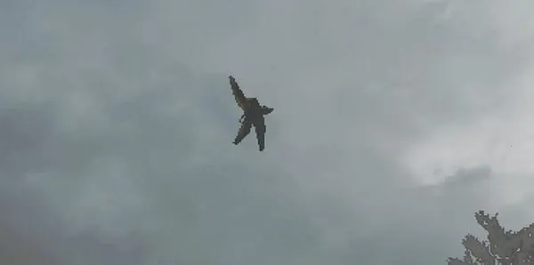 乐高忍者骑手(乐高忍者手游) 乐高忍者骑手(乐高忍者手游)