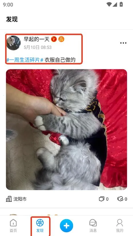 猫匿2025下载 猫匿2025下载