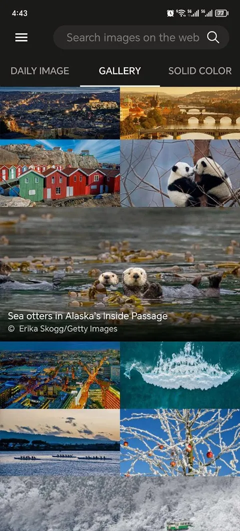 Ӧֽ2025v12.0.47470801 ֻ