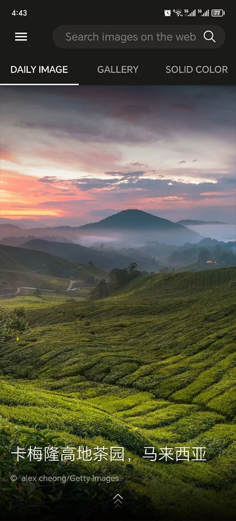 Ӧֽ2025v12.0.47470801 ֻ