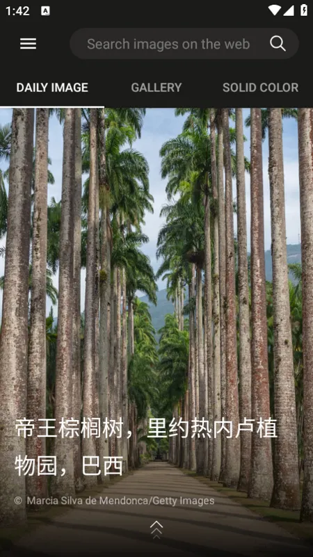 必应壁纸2025下载 必应壁纸2025下载