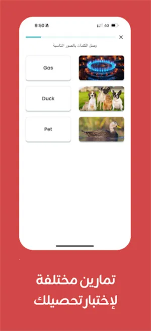 Taleek视频课程2025官方最新版本 Taleek视频课程2025官方最新版本