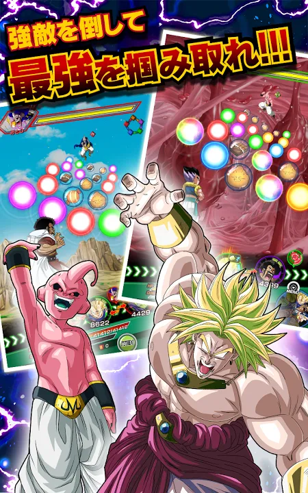 ZѴս(鶯Ϸ)v5.28.0 Ѱ