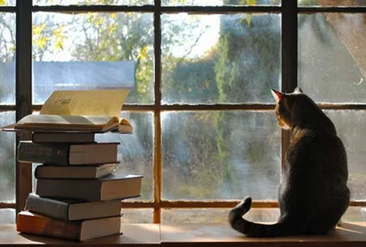 枕阅小说2025最新版本 枕阅小说2025最新版本