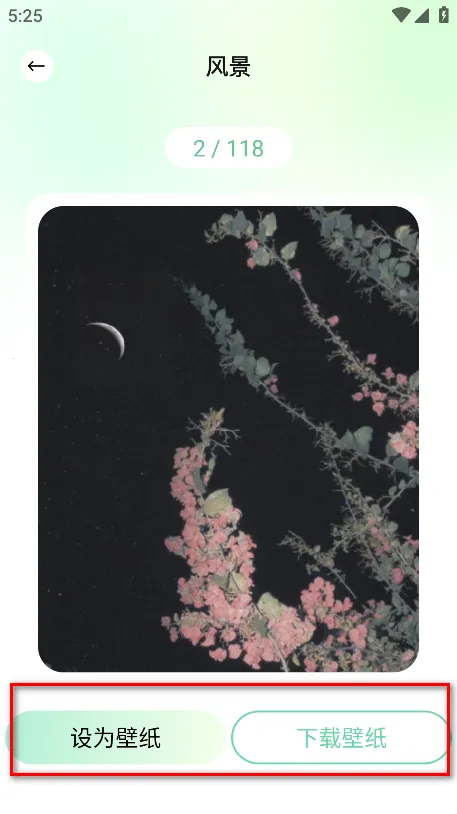 荷花壁纸2025官方最新版本 荷花壁纸2025官方最新版本