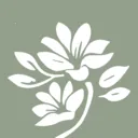 СԻ2025ٷ°汾v1.2.38 ׿