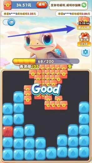 疯狂大海龟2025官方正版 疯狂大海龟2025官方正版