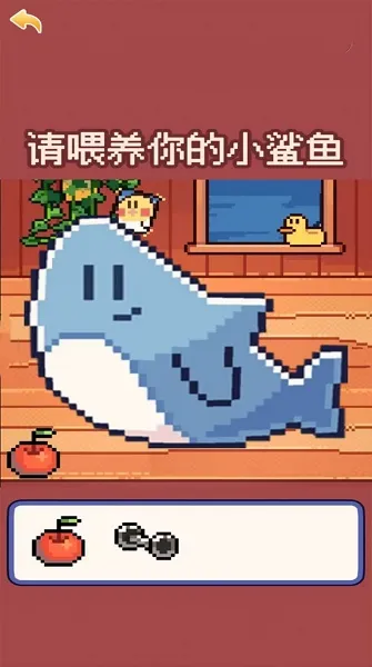 我的可爱小鲨鱼2025最新版本 我的可爱小鲨鱼2025最新版本