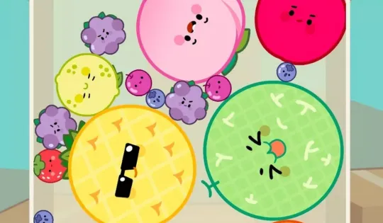 猫和西瓜2025官方最新版本 猫和西瓜2025官方最新版本