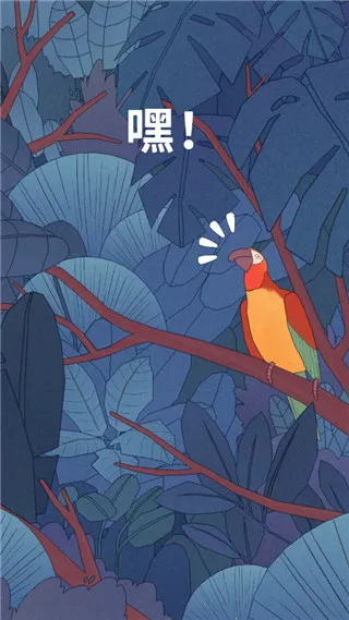 孤独的鸟儿2025官方正版 孤独的鸟儿2025官方正版