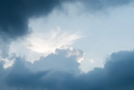 ��������2025���°汾