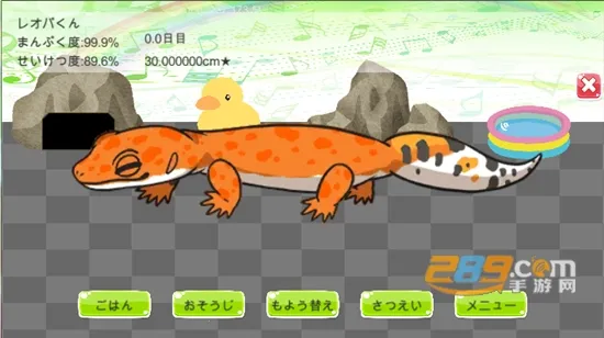 New(��Ƶ��������)v8.0.0.20765 �ٷ�����