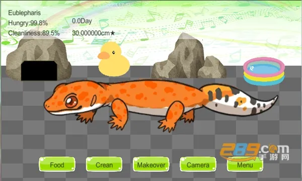 New(��Ƶ��������)v8.0.0.20765 �ٷ�����