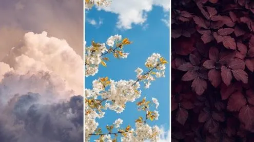 美妙壁纸馆2025下载安装 美妙壁纸馆2025下载安装