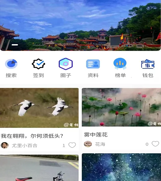 ����(�����罻ƽ̨)