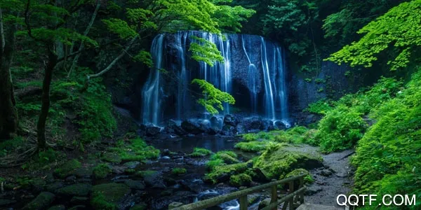 主题壁纸(壁纸美化软件) 主题壁纸(壁纸美化软件)