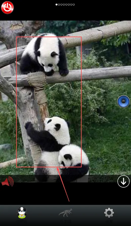 宝宝动物园(儿童农场经营游戏)