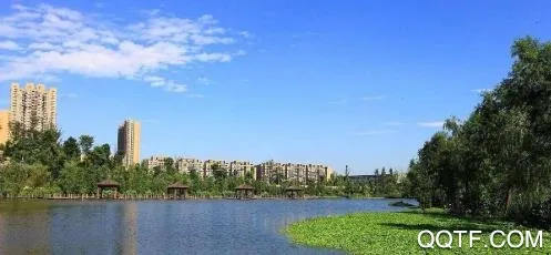 �ɽ�˼�2026�ٷ�����