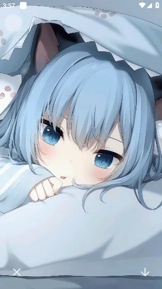 Color�������(��Ļ��������)