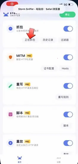 stormС�з(ץ����������)