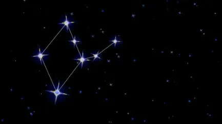 ����Ե2026�ٷ�����