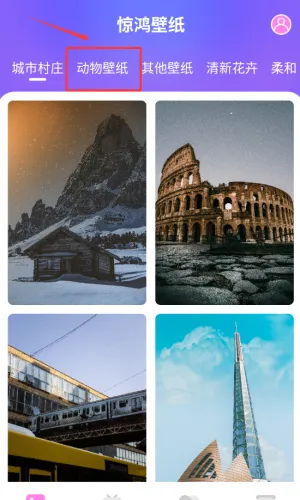 �����ֽ2026���°汾