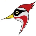 ��ҽ��(��ͥҽ������)v1.0 ��Ѱ� 