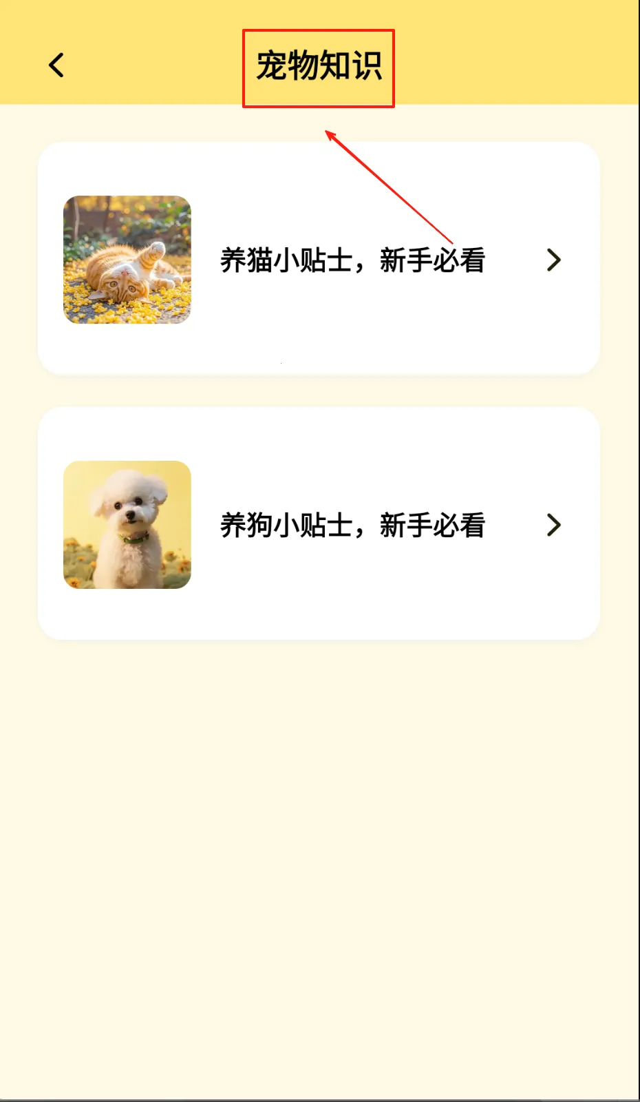 宠物派2026最新版本 宠物派2026最新版本