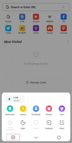 UC Browser(���������)