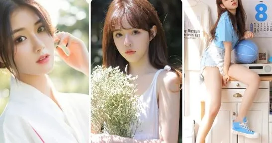 ɽ��2026����