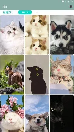 ɽ��2026����