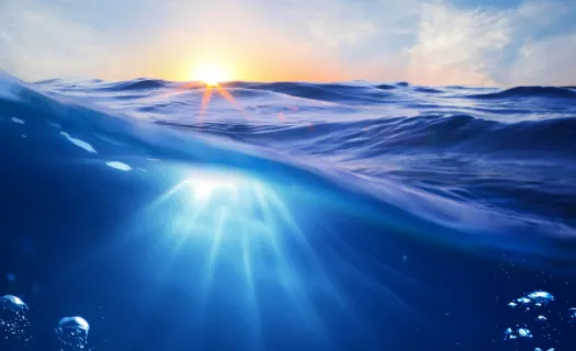 小鲸鱼壁纸 小鲸鱼壁纸