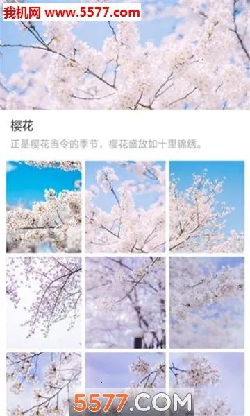 ��ű�ֽ2026���ذ�װv1.0.0 �ֻ���