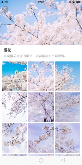 ��ű�ֽ2026���ذ�װv1.0.0 �ֻ���