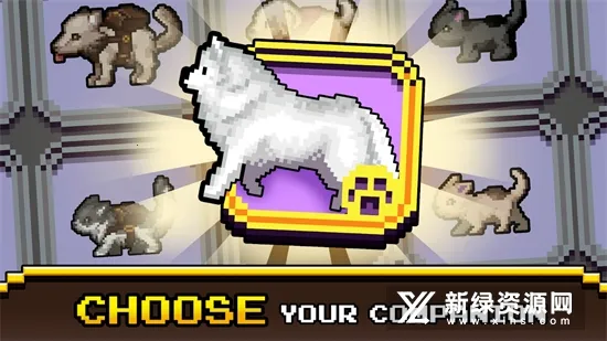 Miners Settlement2026���ذ�װv6.19.1 ��׿��