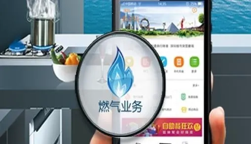 ��ȼ������ȼ���ɷ�