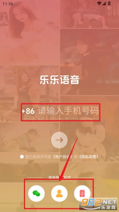 ��������2026�ٷ�����