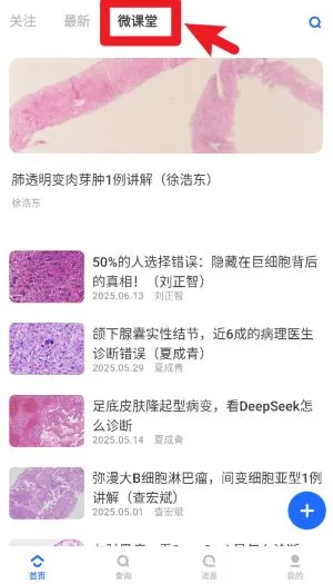 病理侦探2026下载安装