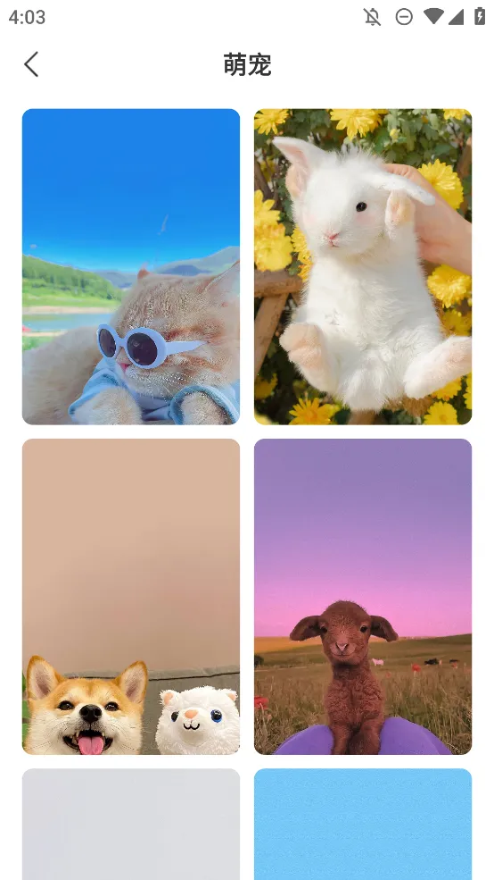 �ǻ��ֽ2026�ٷ����°汾v1.0.0 ��Ѱ�