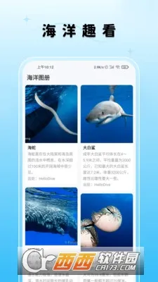 ����Ȥ��v1.4.64 �ٷ�����