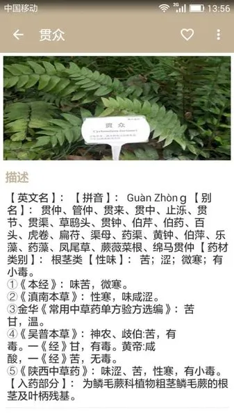 �в�ҩ���䰲׿���ֻ���