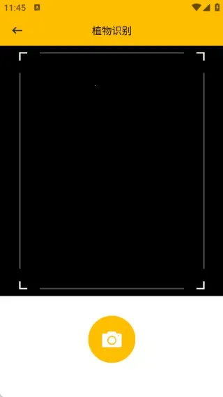 ʱС������