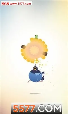 ���ĸ���