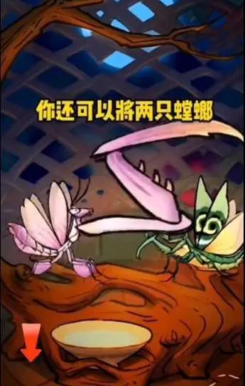 ��Ʒ���2026����