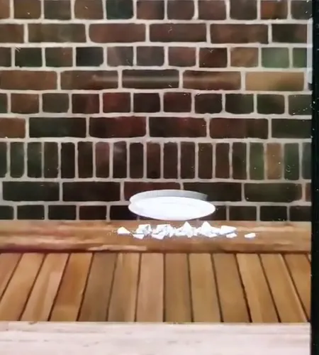 ��ѹ����2v1.0.3 ��Ѱ�